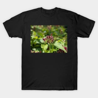 Penta Buds 2 T-Shirt